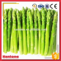 Fresh Dried Freeze Asparagus